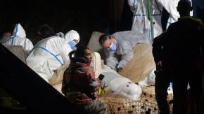 Muere la ballena beluga varada en el río Sena durante la operación para rescatarla Muere la ballena beluga varada en el río Sena durante la operación para rescatarla