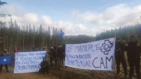 Robo de madera: las pistas que arrojó investigación de atentado a fiscal Elgueta cometido por la CAM Robo de madera: las pistas que arrojó investigación de atentado a fiscal Elgueta cometido por la CAM