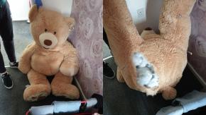 Ladrón de autos se escondió dentro de un peluche gigante, pero fue descubierto y arrestado Ladrón de autos se escondió dentro de un peluche gigante, pero fue descubierto y arrestado