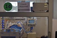 UDP busca voluntarios para investigación sobre efectos del COVID-19: Estos son los requisitos