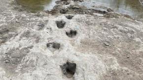 El asombroso hallazgo de las huellas de un dinosaurio que quedaron expuestas por la sequía en EE.UU. El asombroso hallazgo de las huellas de un dinosaurio que quedaron expuestas por la sequía en EE.UU.