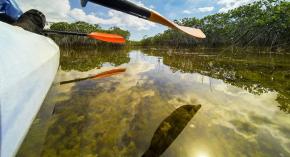 Tras intentar sacarse una selfie en el río: Seis miembros de una familia mueren ahogados