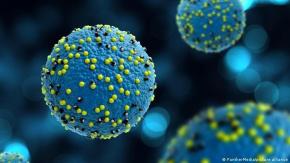 Captan por primera vez imágenes en directo de un virus infectando una célula Captan por primera vez imágenes en directo de un virus infectando una célula