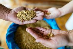 "Hambre aguda" se agrava con crisis climática en países más expuestos, según Oxfam "Hambre aguda" se agrava con crisis climática en países más expuestos, según Oxfam