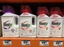 Roundup: El polémico herbicida de Monsanto que enfrenta a la justicia chilena