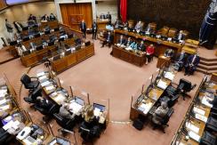 Senadores de Apruebo Dignidad por TPP-11: "No hay ninguna urgencia para ponerlo en votación"