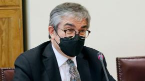 Marcel y TPP11: "Si va a la votación en la sala del Senado, el Gobierno no se va a oponer" Marcel y TPP11: "Si va a la votación en la sala del Senado, el Gobierno no se va a oponer"