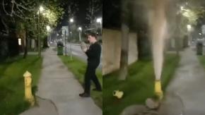 Sujeto que rompió grifo a piedrazos en Las Condes ya fue identificado: declaró voluntariamente