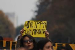 Corte declara inadmisible recurso de protección que buscaba frenar el TPP 11 Corte declara inadmisible recurso de protección que buscaba frenar el TPP 11