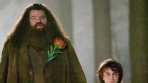 Escritora de "Harry Potter" se despide de "Hagrid": "Fui más que afortunada de conocerlo" Escritora de "Harry Potter" se despide de "Hagrid": "Fui más que afortunada de conocerlo"