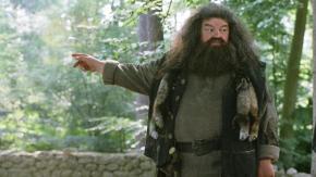Qué es la osteoartritis, la enfermedad que afectó a Robbie Coltrane en sus últimos años de vida Qué es la osteoartritis, la enfermedad que afectó a Robbie Coltrane en sus últimos años de vida
