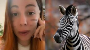 Transespecie acusa discriminación porque no la recibieron en refugio de animales: Dice ser una cebra Transespecie acusa discriminación porque no la recibieron en refugio de animales: Dice ser una cebra