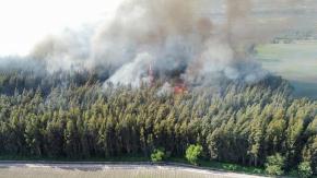 Combaten incendio forestal de rápida velocidad de propagación en Melipilla Combaten incendio forestal de rápida velocidad de propagación en Melipilla