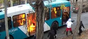[VIDEO] Reportajes T13: Cómo operan los "overoles blancos" del INBA