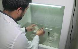 Científicos chilenos viajan a la Antártica a buscar hongos contra el Alzheimer Científicos chilenos viajan a la Antártica a buscar hongos contra el Alzheimer