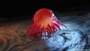 Científicos descubren un fármaco que puede combatir tanto el cáncer como el COVID-19 Científicos descubren un fármaco que puede combatir tanto el cáncer como el COVID-19