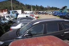 Viña del Mar: 430 vehículos serán rematados para despejar parqueadero municipal Viña del Mar: 430 vehículos serán rematados para despejar parqueadero municipal