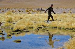 ¿Quién ganó? Corte de La Haya declaró al Silala un río internacional en demanda de Chile a Bolivia ¿Quién ganó? Corte de La Haya declaró al Silala un río internacional en demanda de Chile a Bolivia