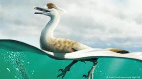 Descubren un extraño dinosaurio con cuello de ganso que tenía habilidades de buceador Descubren un extraño dinosaurio con cuello de ganso que tenía habilidades de buceador