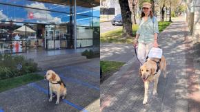 Mujer con discapacidad visual denuncia que no dejaron entrar a su perro guía a bencineras Mujer con discapacidad visual denuncia que no dejaron entrar a su perro guía a bencineras