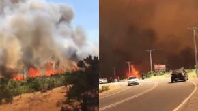 Incendio forestal en Melipilla: Onemi declara Alerta Roja Incendio forestal en Melipilla: Onemi declara Alerta Roja