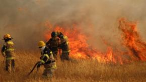 Qué son las pavesas y por qué dificultan el combate de los incendios forestales Qué son las pavesas y por qué dificultan el combate de los incendios forestales