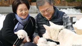 Perros regalados por Kim Jong Un a Corea del Sur acaban en un zoológico Perros regalados por Kim Jong Un a Corea del Sur acaban en un zoológico