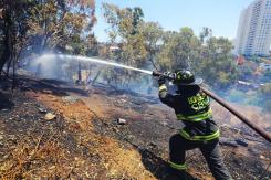 Brigadista murió cuando combatía incendios forestales en Colliguay