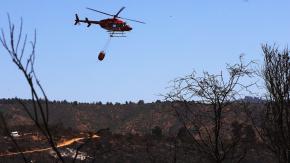 Director del Jardín Botánico descarta que incendio forestal tenga un supuesto fin inmobiliario