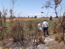 Identifican área de inicio de incendio en Viña del Mar: “Hay antecedentes que estuvieron personas" Identifican área de inicio de incendio en Viña del Mar: “Hay antecedentes que estuvieron personas"