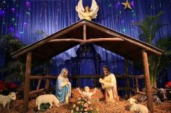 ¡Milagro navideño!: Perrita da a luz en un pesebre en México ¡Milagro navideño!: Perrita da a luz en un pesebre en México
