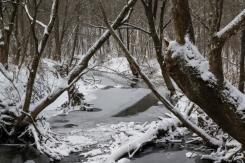 La "tormenta de nieve del siglo" deja casi medio centenar de muertos en EE.UU. La "tormenta de nieve del siglo" deja casi medio centenar de muertos en EE.UU.
