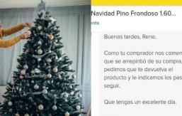 Hombre se hace viral tras comprar árbol de Navidad en internet y querer devolverlo ahora en enero Hombre se hace viral tras comprar árbol de Navidad en internet y querer devolverlo ahora en enero