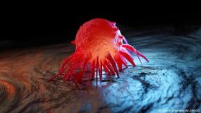 Científicos desarrollan vacuna que entrena el sistema inmunitario contra el cáncer Científicos desarrollan vacuna que entrena el sistema inmunitario contra el cáncer