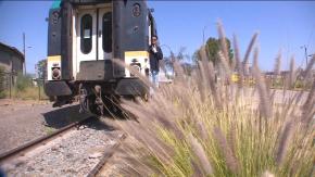 [VIDEO] Por fin vacaciones: Comienza la temporada de trenes turísticos con 10 nuevas rutas