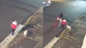 Héroe canino: Perrito perdió una pata por defender a su amo mientras era asaltado en Costa Rica Héroe canino: Perrito perdió una pata por defender a su amo mientras era asaltado en Costa Rica