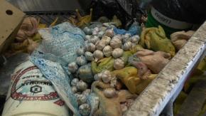 [VIDEO] Ceviches a pleno sol y pollos pintados: Autoridades fiscalizan mercados ilegales
