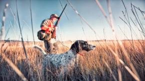 Perro mata a su dueño accidentalmente de un disparo en Estados Unidos