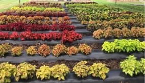 Mi Jardín Secreto: La pyme destacada de la semana en #EmprendedoresWorkCafé Mi Jardín Secreto: La pyme destacada de la semana en #EmprendedoresWorkCafé