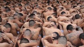 Vicepresidente de El Salvador dice que la Mara Salvatrucha "se ha instalado en el norte de Chile" Vicepresidente de El Salvador dice que la Mara Salvatrucha "se ha instalado en el norte de Chile"