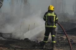 Nuevo balance: más de 550 hectáreas afectadas por incendios forestales en Chillán y Chillán Viejo Nuevo balance: más de 550 hectáreas afectadas por incendios forestales en Chillán y Chillán Viejo