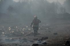 Senapred ordenó evacuar sectores de Santa Ana y San Ramón en Quillón por incendio forestal Senapred ordenó evacuar sectores de Santa Ana y San Ramón en Quillón por incendio forestal