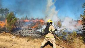 Alerta roja en varias comunas de la zona centro sur por incendios forestales Alerta roja en varias comunas de la zona centro sur por incendios forestales