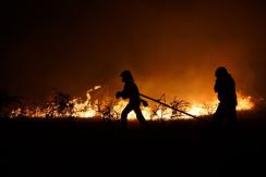 Gobierno cifra preliminarmente en 15 las personas fallecidas por incendios forestales Gobierno cifra preliminarmente en 15 las personas fallecidas por incendios forestales