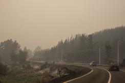 Gobierno estima 151 casas afectadas y más de 600 damnificados por incendios en la Región del Biobío Gobierno estima 151 casas afectadas y más de 600 damnificados por incendios en la Región del Biobío