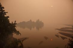Senapred reporta 80 incendios forestales activos: 71 están entre Ñuble y La Araucanía Senapred reporta 80 incendios forestales activos: 71 están entre Ñuble y La Araucanía