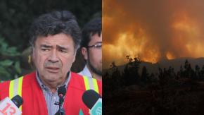 Ministro de Agricultura dice que algunos alcaldes "no han hecho la pega" de limpiar ante incendios Ministro de Agricultura dice que algunos alcaldes "no han hecho la pega" de limpiar ante incendios