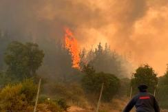 Decretan prisión preventiva para sujeto acusado de iniciar incendio en Parral Decretan prisión preventiva para sujeto acusado de iniciar incendio en Parral