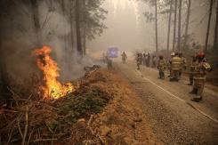 Senapred solicita evacuar sectores de la comuna de Quillón por incendio forestal Senapred solicita evacuar sectores de la comuna de Quillón por incendio forestal