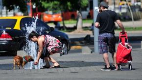 Altas temperaturas: cómo reconocer y evitar un golpe de calor en mascotas (y qué hacer si sufre uno) Altas temperaturas: cómo reconocer y evitar un golpe de calor en mascotas (y qué hacer si sufre uno)